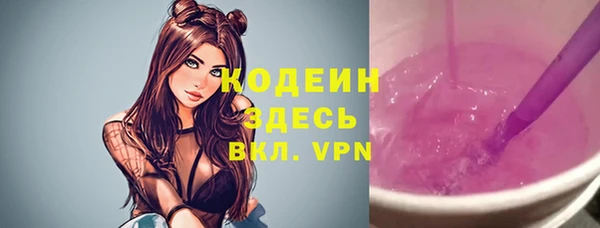 хмурый Абаза