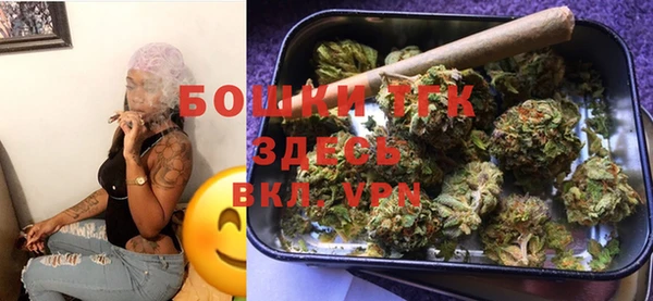 хмурый Абаза