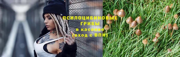 хмурый Абаза