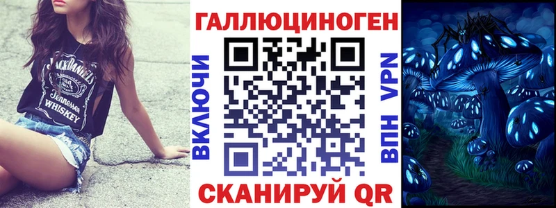 omg ТОР  купить наркотики сайты  Шебекино  Псилоцибиновые грибы мицелий 